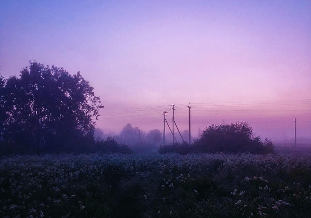 第63分钟，中国女足换人调整，张馨、唐佳丽登场换下刘靖、王霜